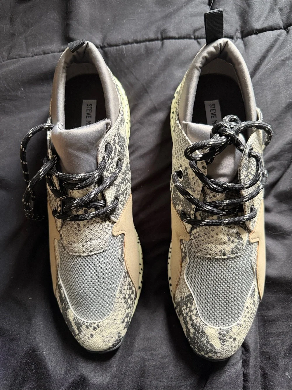 Steve Madden Sneakers